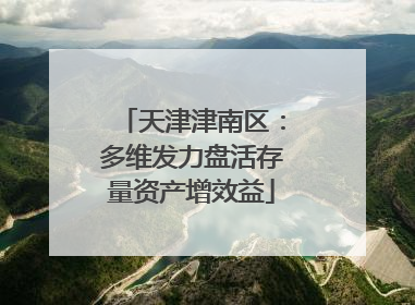 天津津南区：多维发力盘活存量资产增效益