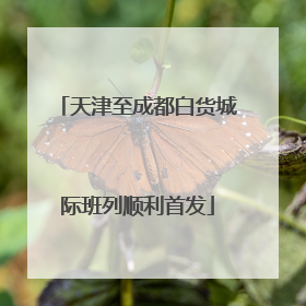 天津至成都白货城际班列顺利首发