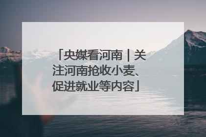央媒看河南｜关注河南抢收小麦、促进就业等内容