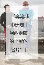 奔流城市计划丨河西走廊的“紫色名片”