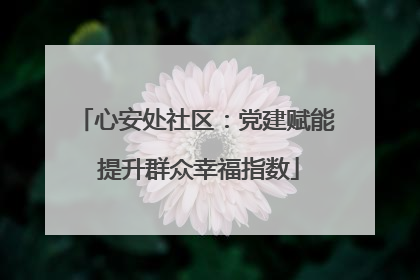心安处社区：党建赋能 提升群众幸福指数