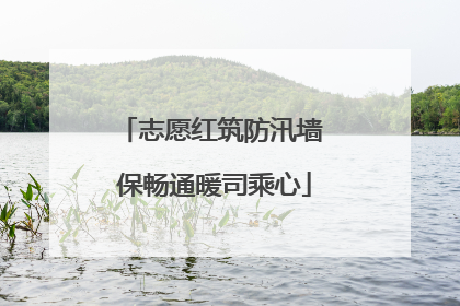 志愿红筑防汛墙 保畅通暖司乘心