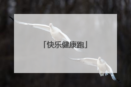 快乐健康跑
