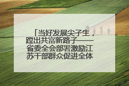 当好发展尖子生，蹚出共富新路子——省委全会部署激励江苏干部群众促进全体人民共同富裕