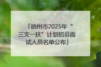 德州市2025年“三支一扶”计划招募面试人员名单公布