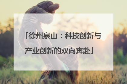 徐州泉山：科技创新与产业创新的双向奔赴