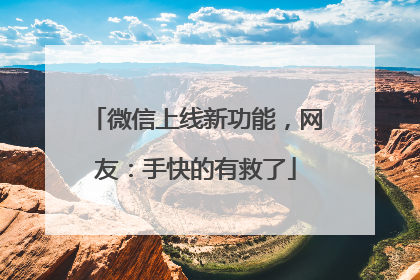 微信上线新功能，网友：手快的有救了