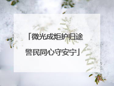 微光成炬护归途 警民同心守安宁