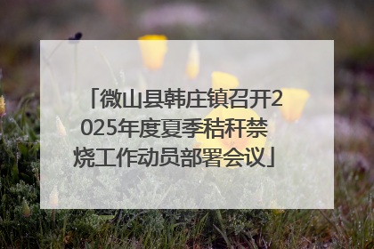 微山县韩庄镇召开2025年度夏季秸秆禁烧工作动员部署会议