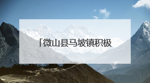 微山县马坡镇积极开展夏收工作 “秸”尽其用助增收