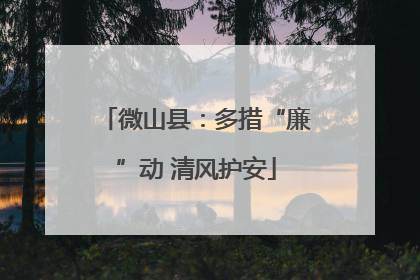 微山县：多措“廉”动 清风护安