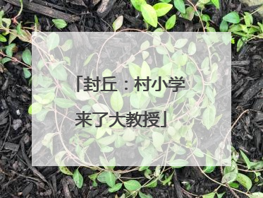 封丘：村小学来了大教授