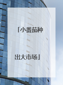 小番茄种出大市场