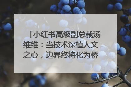 小红书高级副总裁汤维维：当技术深植人文之心，边界终将化为桥梁｜聚焦2025文化强国建设高峰论坛