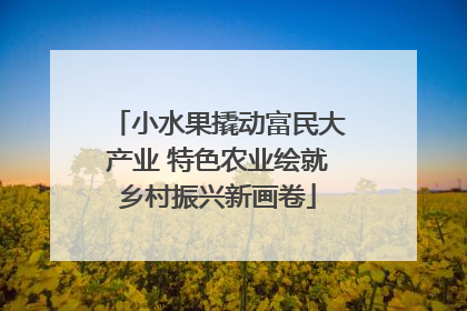 小水果撬动富民大产业 特色农业绘就乡村振兴新画卷