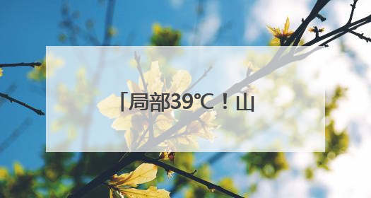 局部39℃！山东发布高温黄色预警 5日—9日将出现高温天气