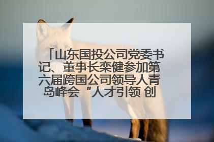 山东国投公司党委书记、董事长栾健参加第六届跨国公司领导人青岛峰会“人才引领 创新驱动”人力资源高质量发展对话会