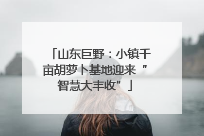 山东巨野：小镇千亩胡萝卜基地迎来“智慧大丰收”