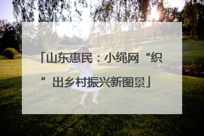 山东惠民：小绳网“织”出乡村振兴新图景