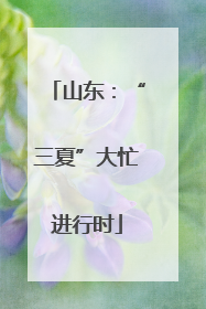 山东：“三夏”大忙进行时