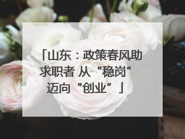 山东：政策春风助求职者 从“稳岗”迈向“创业”