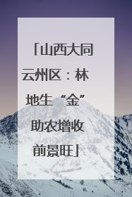 山西大同云州区：林地生“金” 助农增收前景旺