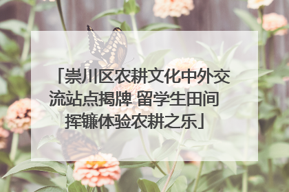 崇川区农耕文化中外交流站点揭牌 留学生田间挥镰体验农耕之乐