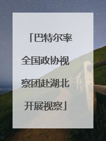巴特尔率全国政协视察团赴湖北开展视察