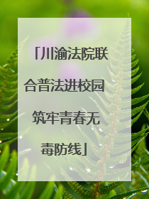 川渝法院联合普法进校园 筑牢青春无毒防线