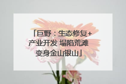 巨野：生态修复+产业开发 塌陷荒滩变身金山银山