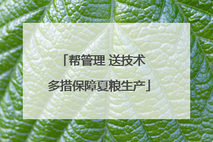 帮管理 送技术 多措保障夏粮生产