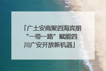 广土安商聚四海宾朋 “一带一路”赋能四川广安开放新机遇