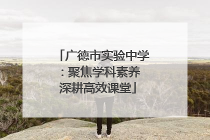 广德市实验中学：聚焦学科素养 深耕高效课堂