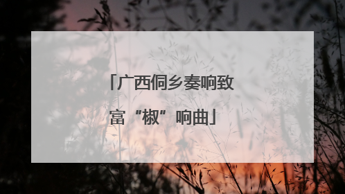 广西侗乡奏响致富“椒”响曲