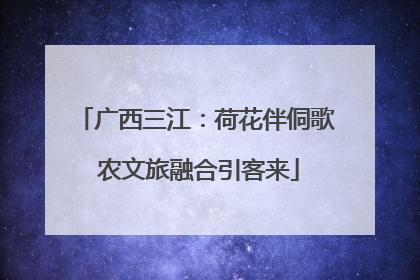 广西三江：荷花伴侗歌 农文旅融合引客来