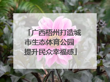 广西梧州打造城市生态体育公园 提升民众幸福感