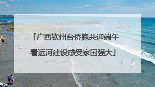 广西钦州台侨胞共迎端午 看运河建设感受家国强大
