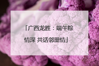 广西龙胜：端午粽情深 共话邻里情