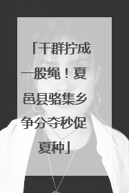 干群拧成一股绳！夏邑县骆集乡争分夺秒促夏种