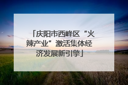 庆阳市西峰区“火辣产业”激活集体经济发展新引擎