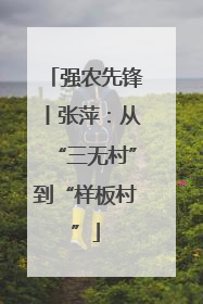 强农先锋丨张萍：从“三无村”到“样板村”