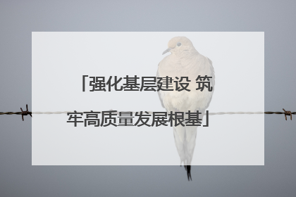 强化基层建设 筑牢高质量发展根基