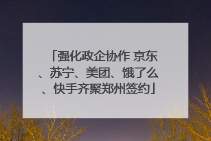 强化政企协作 京东、苏宁、美团、饿了么、快手齐聚郑州签约
