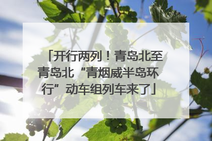 开行两列！青岛北至青岛北“青烟威半岛环行”动车组列车来了