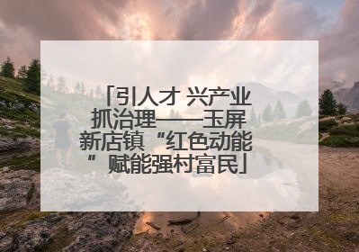 引人才 兴产业 抓治理——玉屏新店镇“红色动能”赋能强村富民