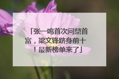 张一鸣首次问鼎首富，梁文锋跻身前十！最新榜单来了