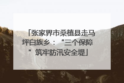 张家界市桑植县走马坪白族乡：“三个保障”筑牢防汛安全堤