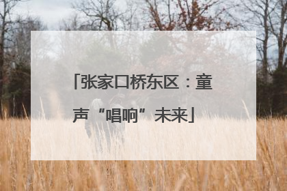 张家口桥东区：童声“唱响”未来