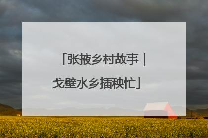 张掖乡村故事｜戈壁水乡插秧忙