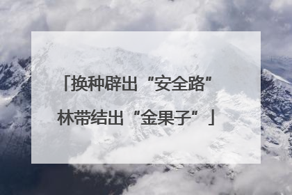 换种辟出“安全路” 林带结出“金果子”